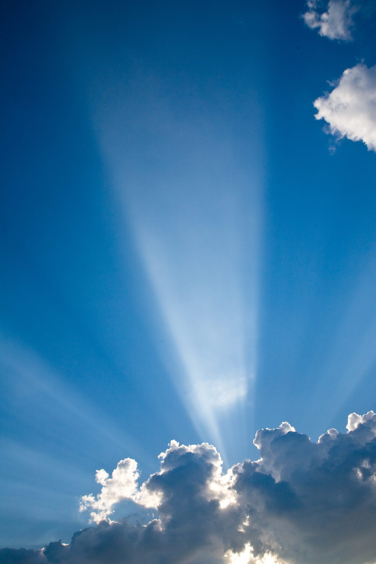 Tethered Shooting and Calibration: The Backbone of Professional Workflows